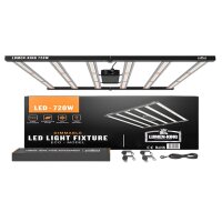 LED Leuchtmittel