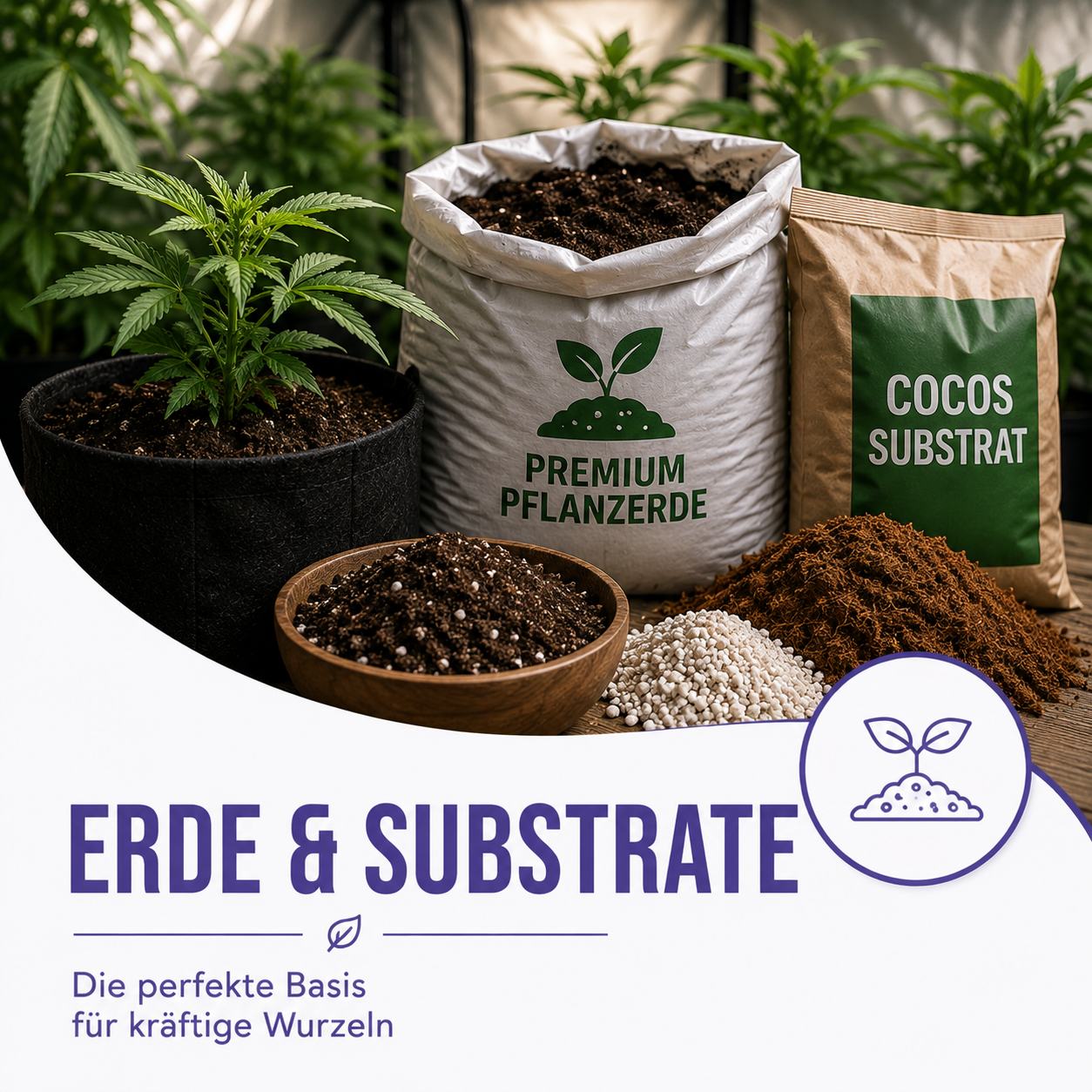 Erde & Substrate