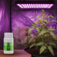NARCOS Root Stim 250ml