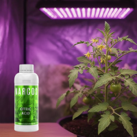 NARCOS Citric Acid 46% 1L