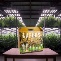 NARCOS Starterkit Coco