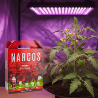 NARCOS Starterkit Terra