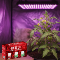 NARCOS Starterkit S Comp 1 (3 x100 ml)