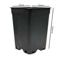 Anzuchttopf  2 Liter 13x13x17 cm