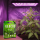 NARCOS Starterkit Organic Terra
