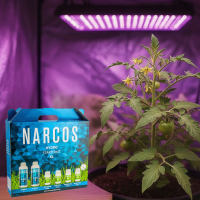 NARCOS Starterkit HydroXL