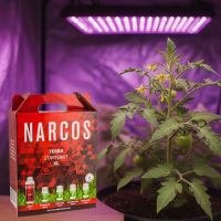 NARCOS Starterkit Terra XL