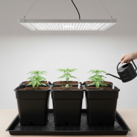 Flex Tray 120 x 120 cm Pflanzenschale