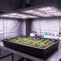 Gewächshaus Pro 73 Propagator 58×38×24 cm