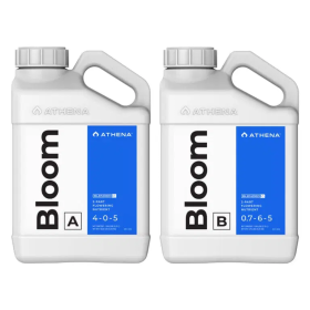 Athena Blende Bloom A + B je