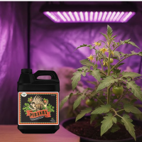 Advanced Nutrients Piranha 250 ml