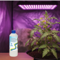 Advanced Hydroponics Dutch formula grow 1 0.5 L