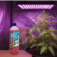 Advanced Hydroponics Dutch formula bloom 2 1 L