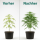 Advanced Hydroponics Dutch formula bloom 2 1 L