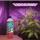 Advanced Hydroponics Dutch formula bloom 2 1 L