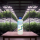 Advanced Hydroponics Dutch formula grow 1  1L